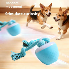 Juguete inteligente para perros con sensor y movimiento automático de QZTRGDW.