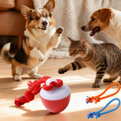 Pelota interactiva QZTRGDW con cuerda y canto de aves, ideal para estimular al perro.