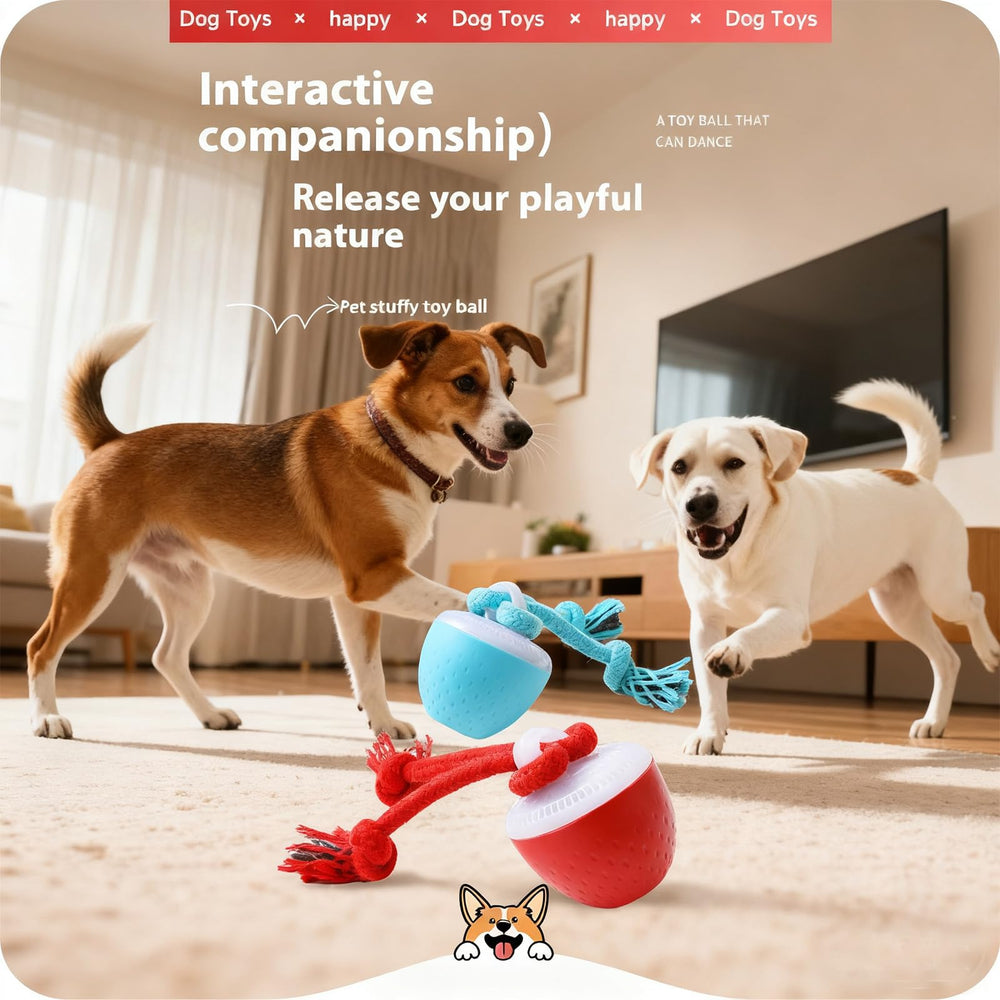 Pelota para perros con cuerda dental y juego activo, marca QZTRGDW.