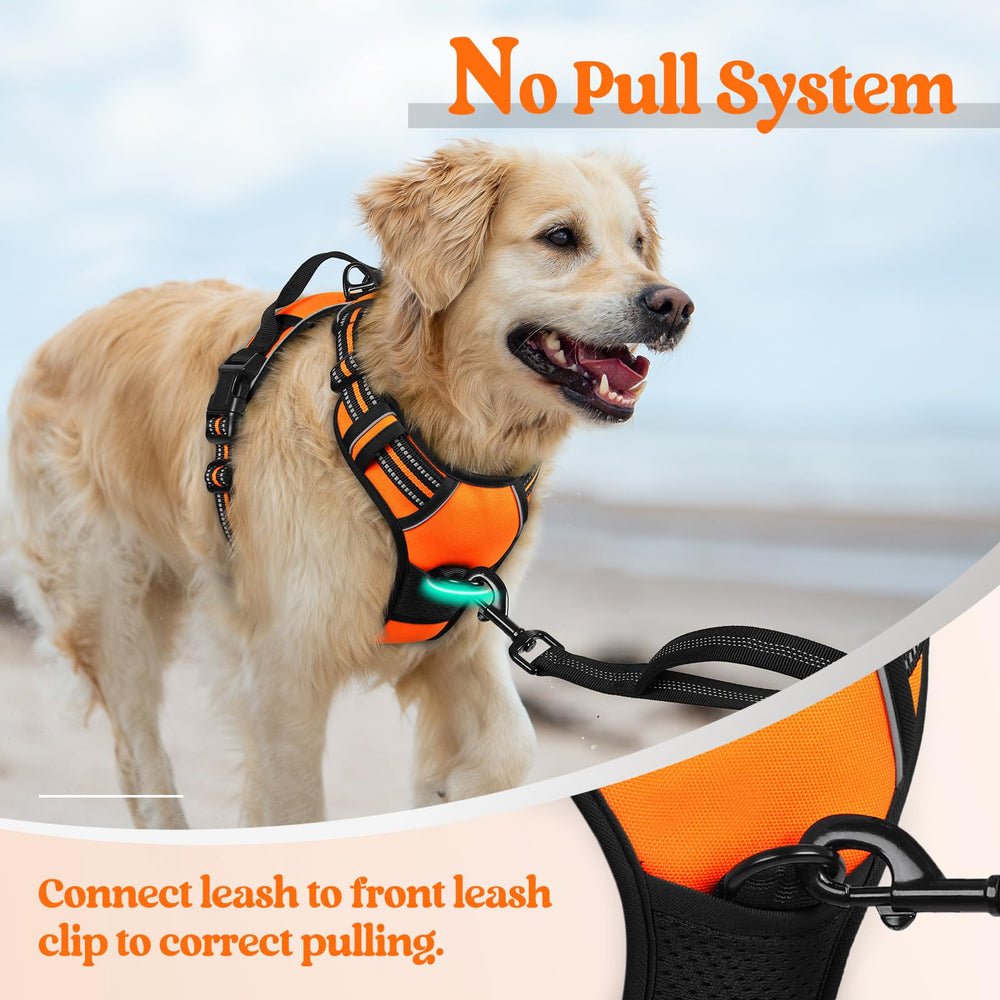 rabbitgoo arnés asa de control superior para manejo más fácil