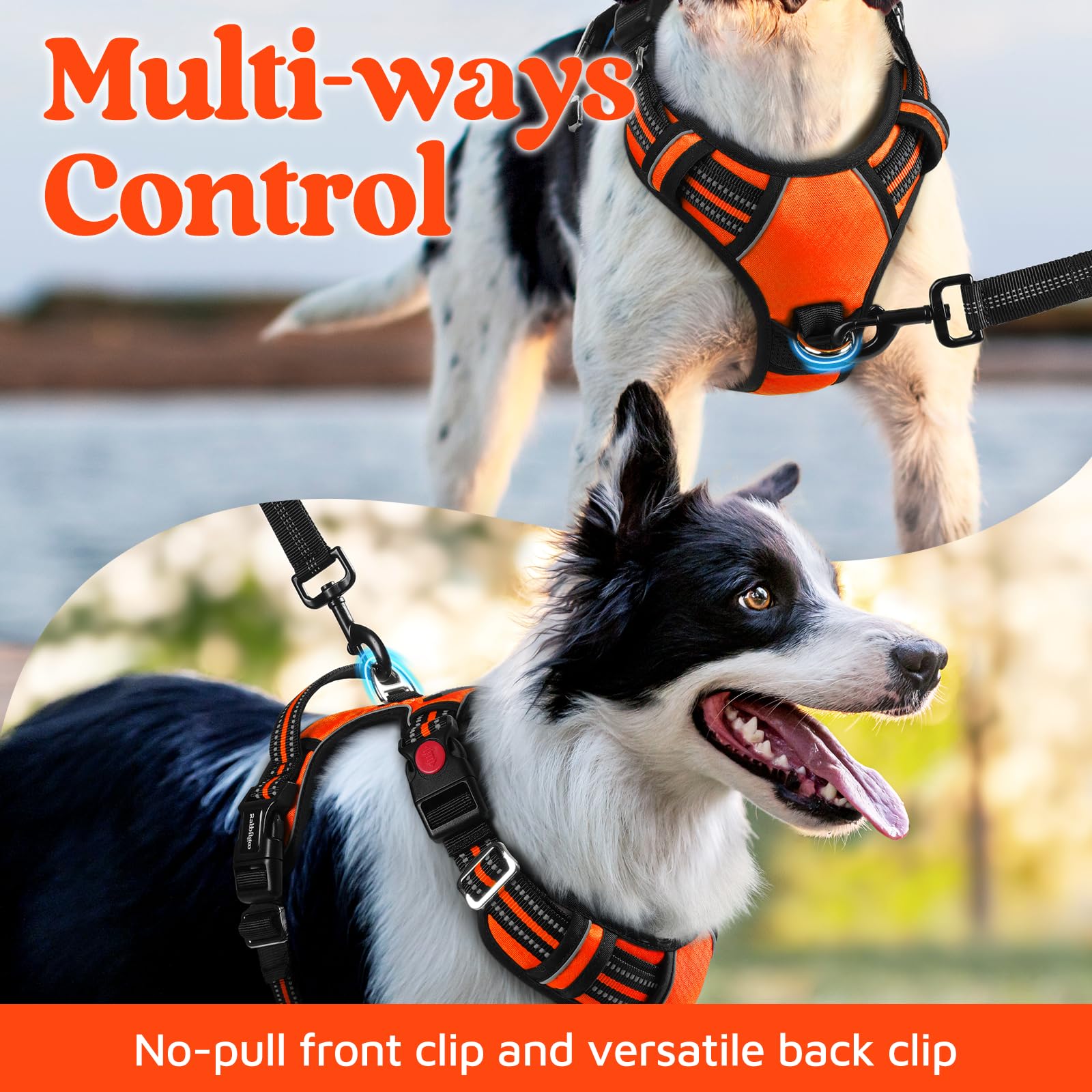 Arnés Rabbitgoo con mango de control superior para manejo seguro durante paseos.
