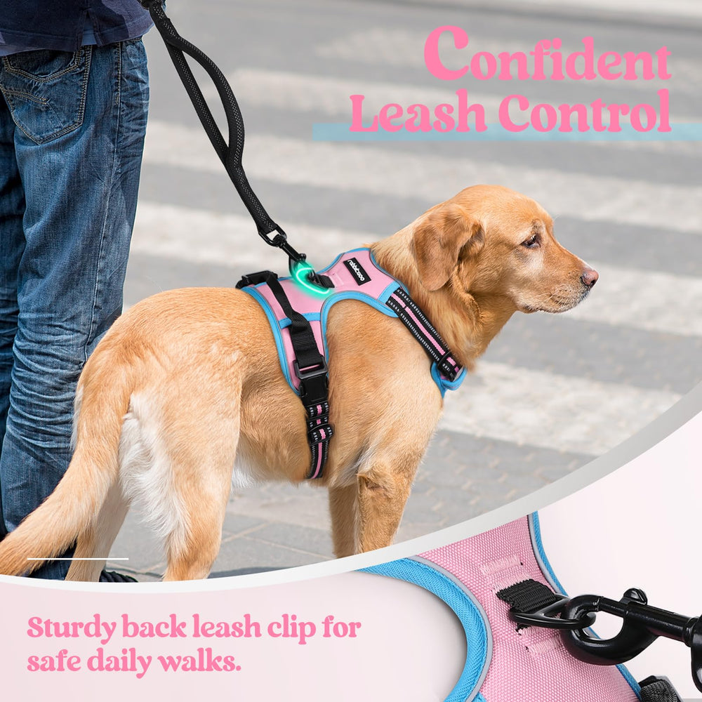 Diseño rosa y azul, visible y seguro para perros grandes