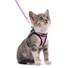 Rabbitgoo arnés de gato con malla de aire para paseos cómodos