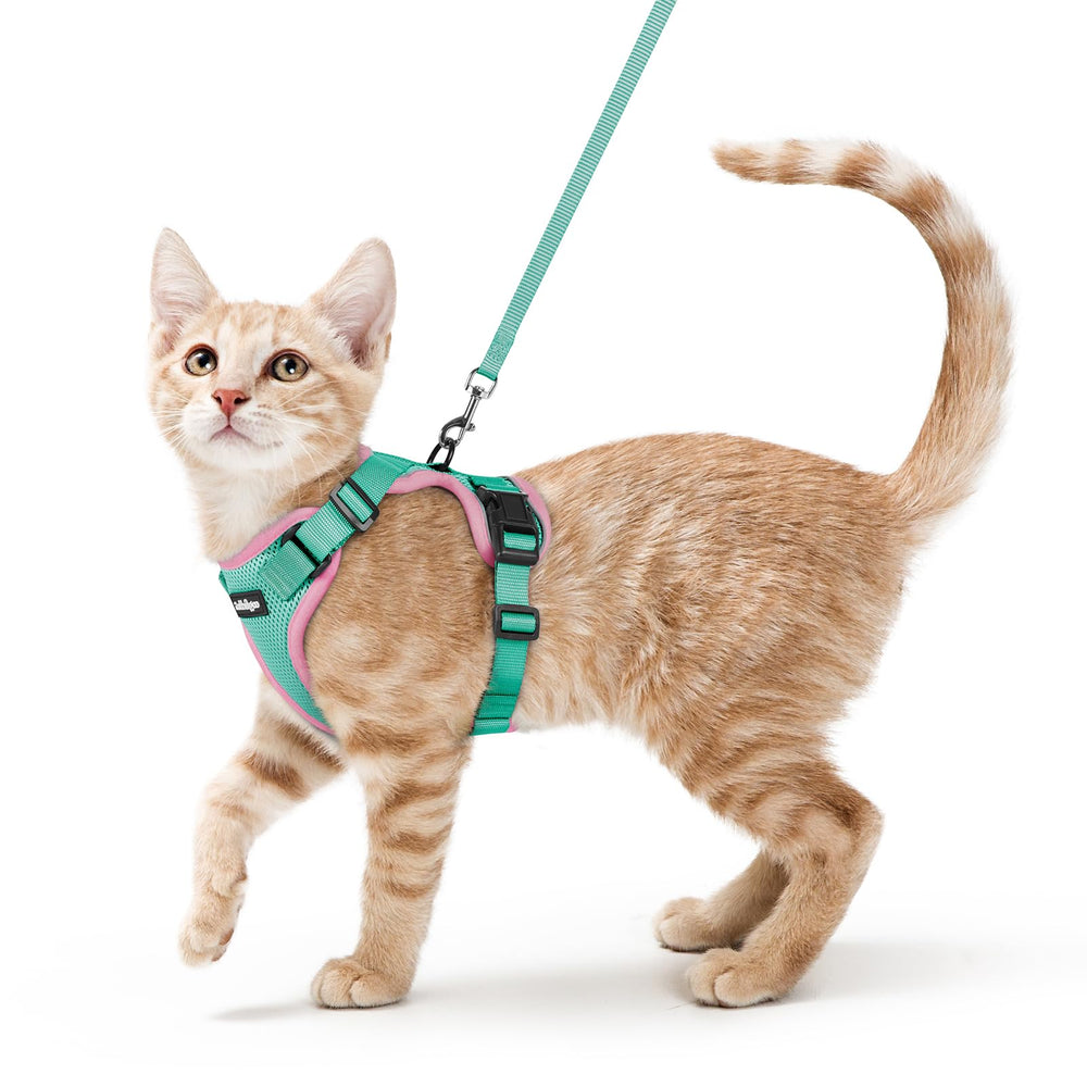 Arnés Rabbitgoo ajustable para gatos: ajuste preciso para paseos seguros