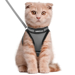 Arnés Rabbitgoo para gato con ajuste preciso y comodidad para paseos diarios