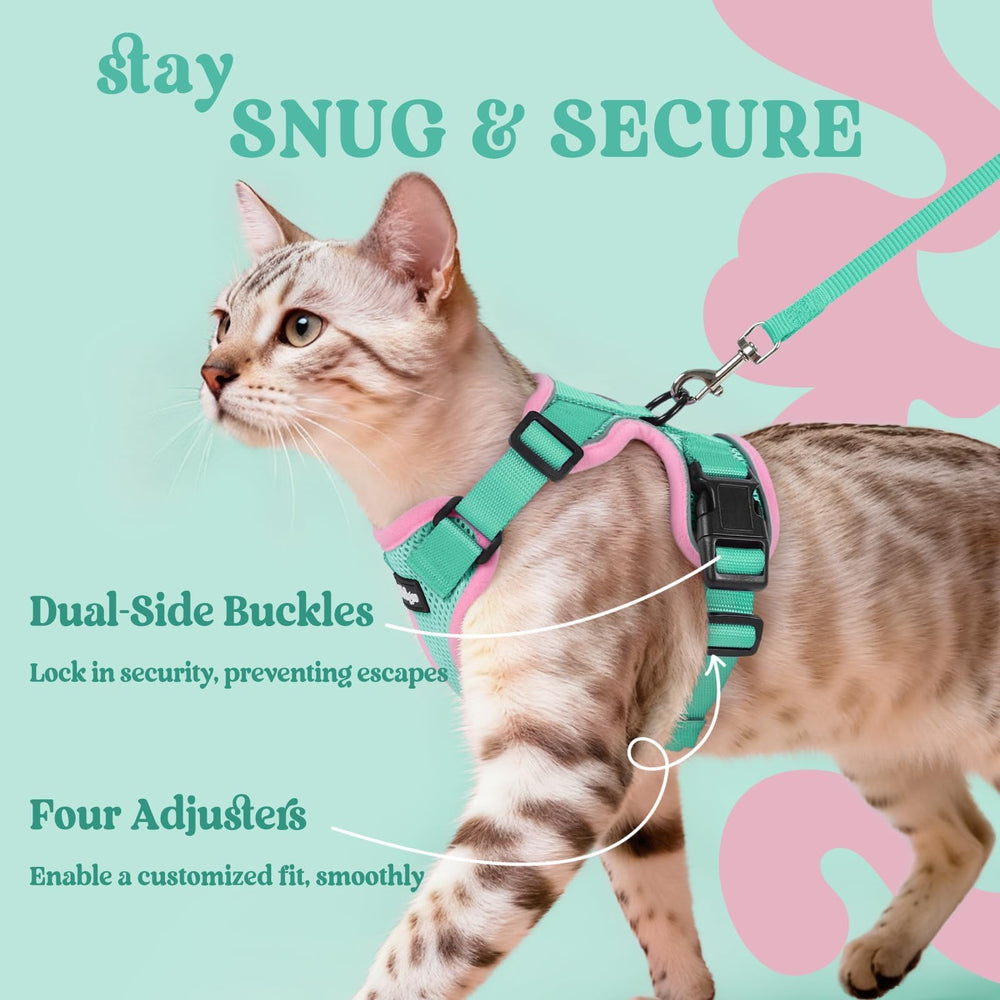 Colocación rápida Rabbitgoo para gatos, sin complicaciones