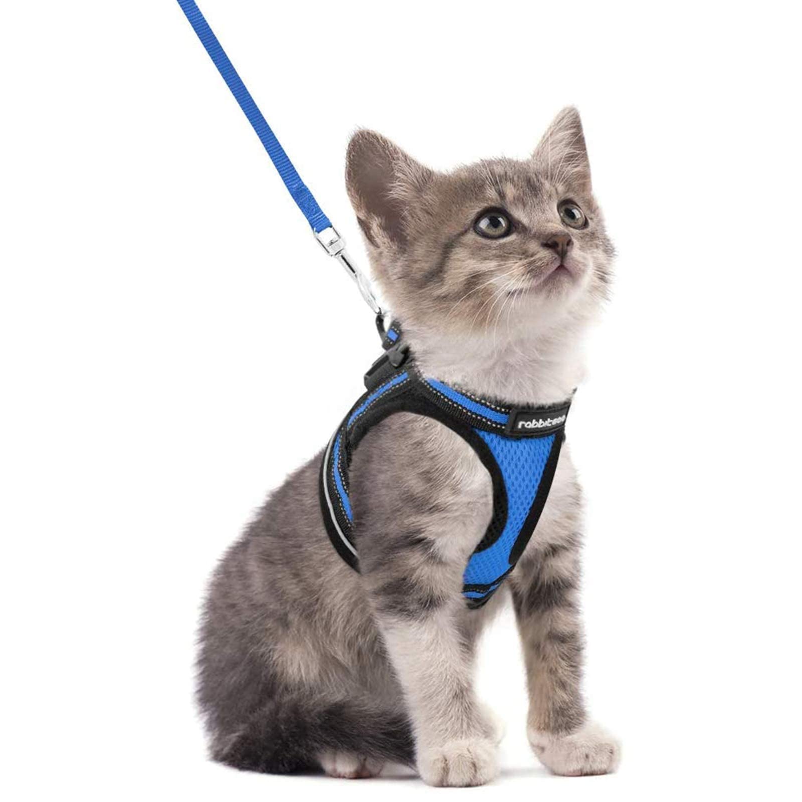 Arnés Rabbitg oo para gatos – paseo seguro y cómodo.