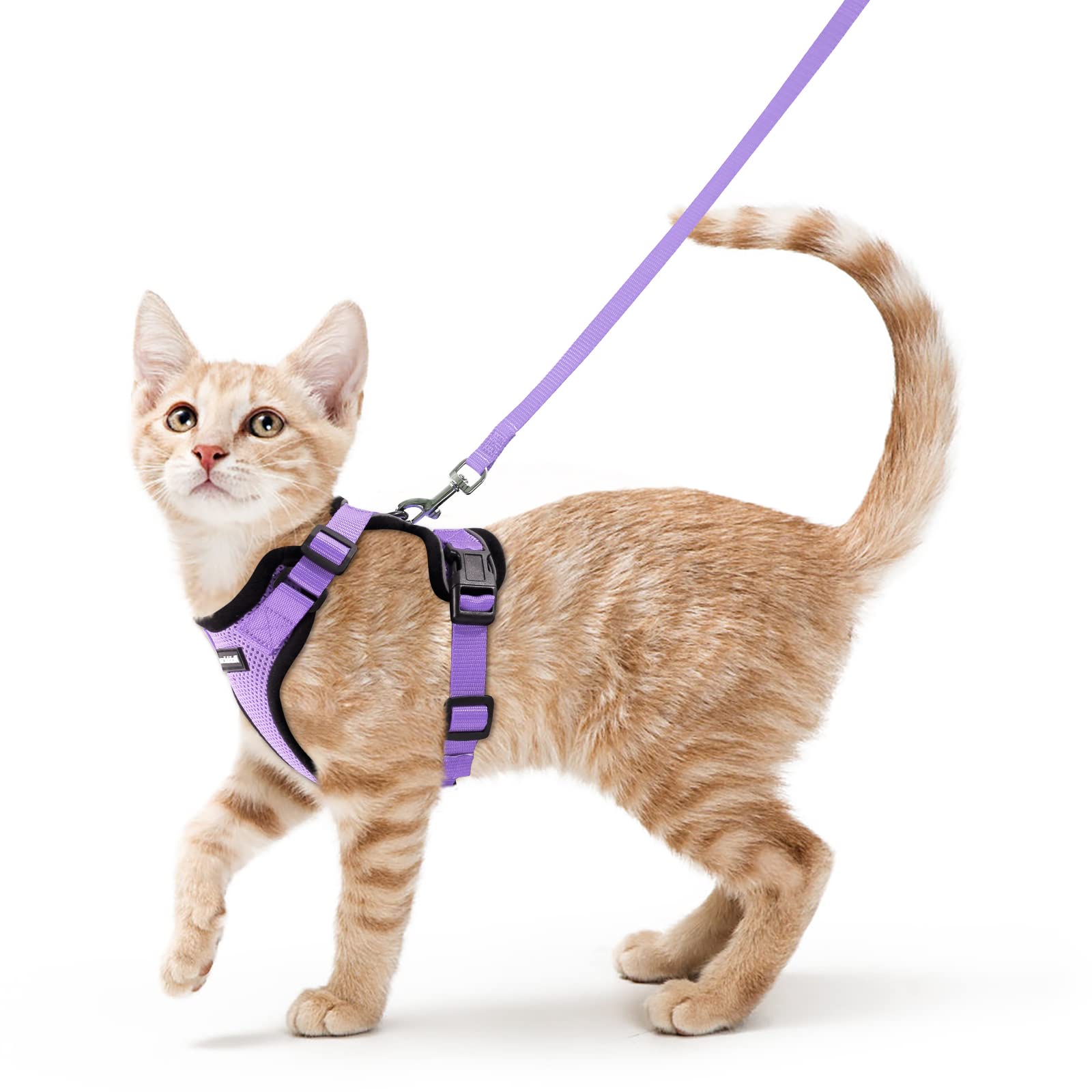 Arnés Rabbitgoo para gato con malla-aire, cómodo para paseos suaves