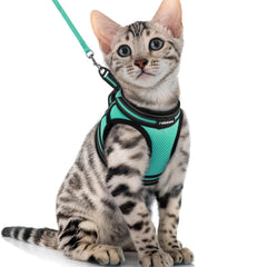 rabbitgoo arnés-gato-vest-verde-xl para paseos cómodos y seguros.