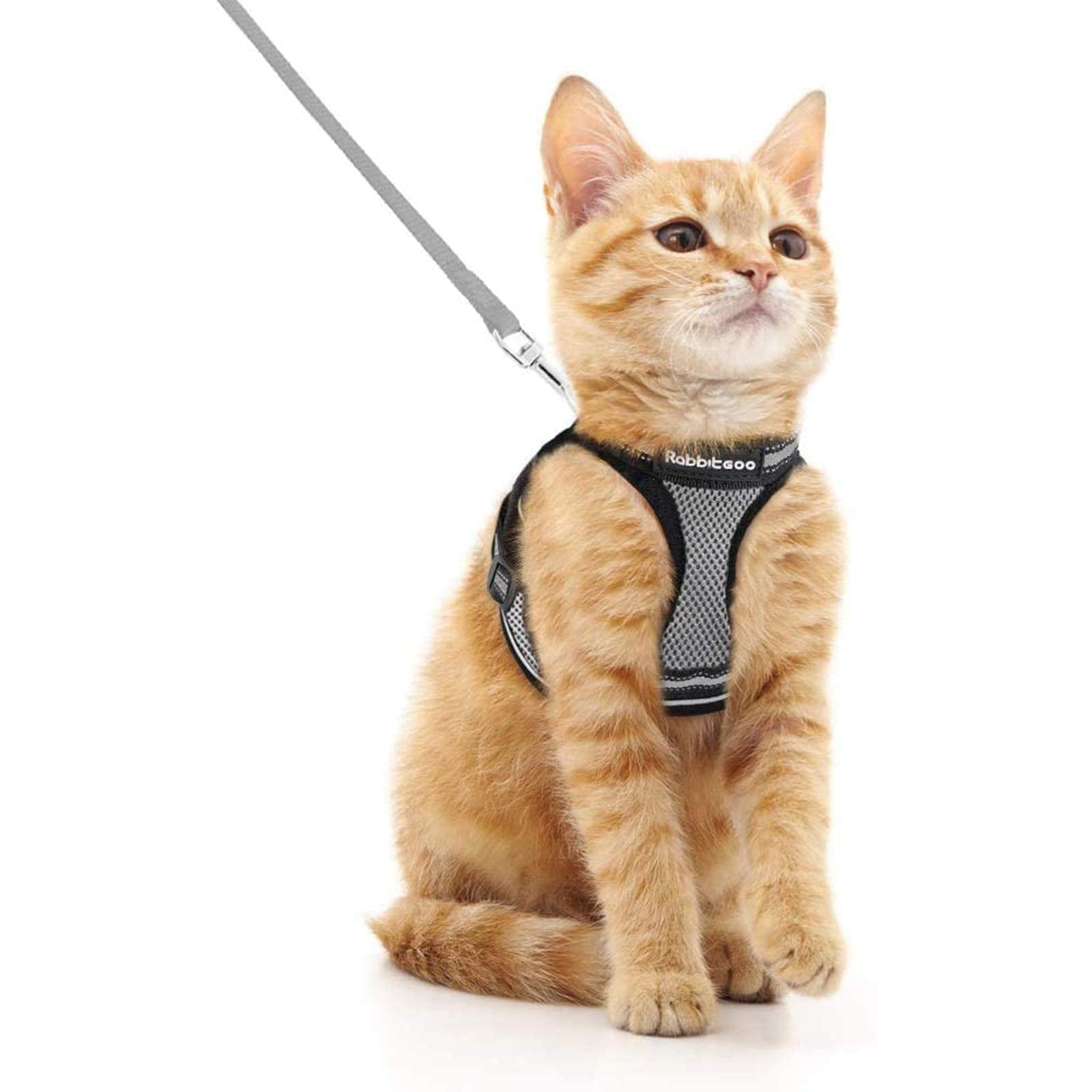 Arnés rabbitgoo para gatos con ajuste cómodo y acolchado transpirable.