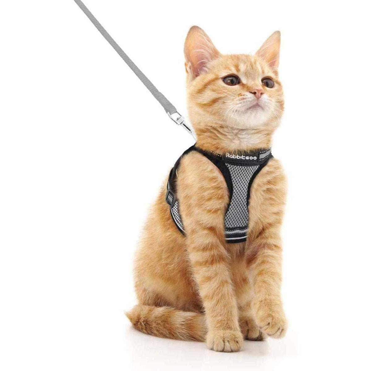 Arnés rabbitgoo para gatos con ajuste cómodo y acolchado transpirable.