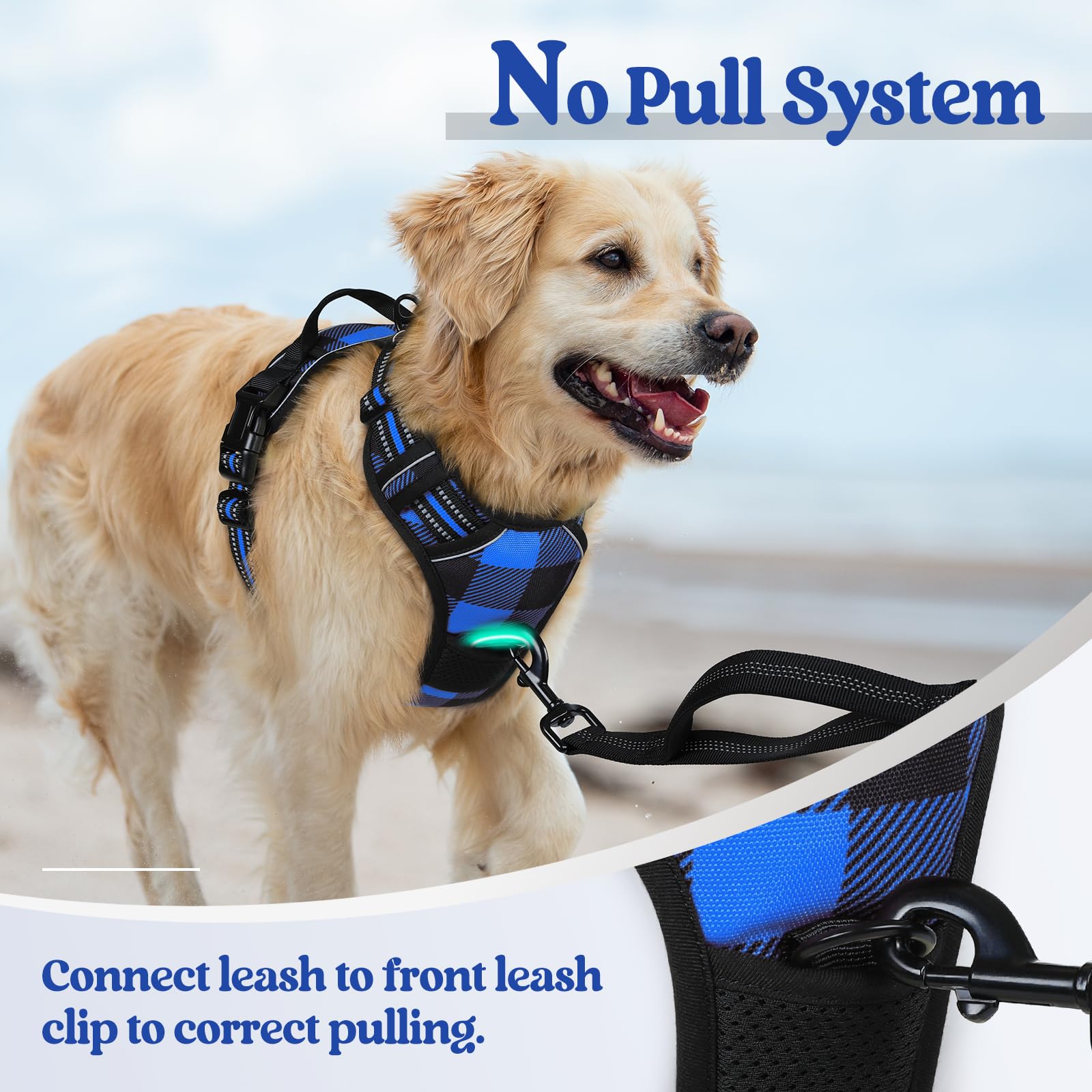 Arnés Rabbitgoo para perros medianos, ideal para caminatas diarias.