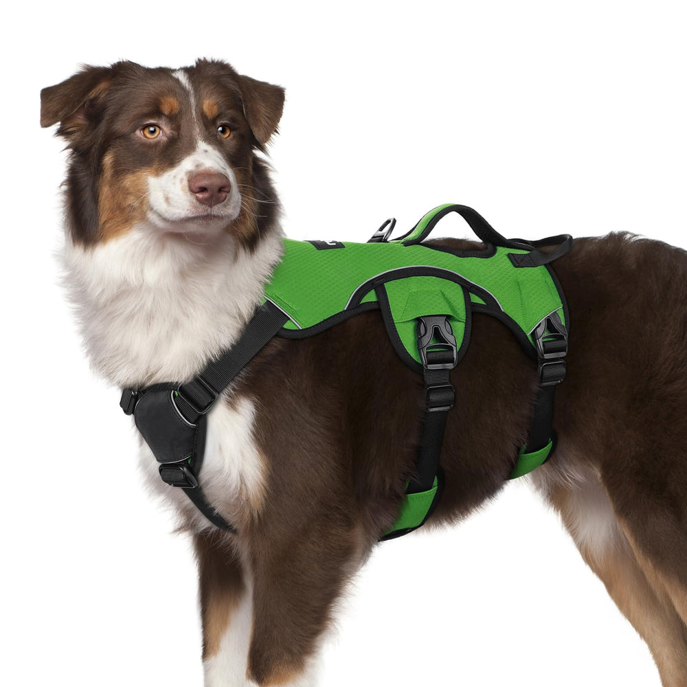 Arnés para perro a prueba de escape de rabbitgoo, seguridad en paseos.