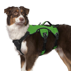 Arnés para perro a prueba de escape de rabbitgoo, seguridad en paseos.