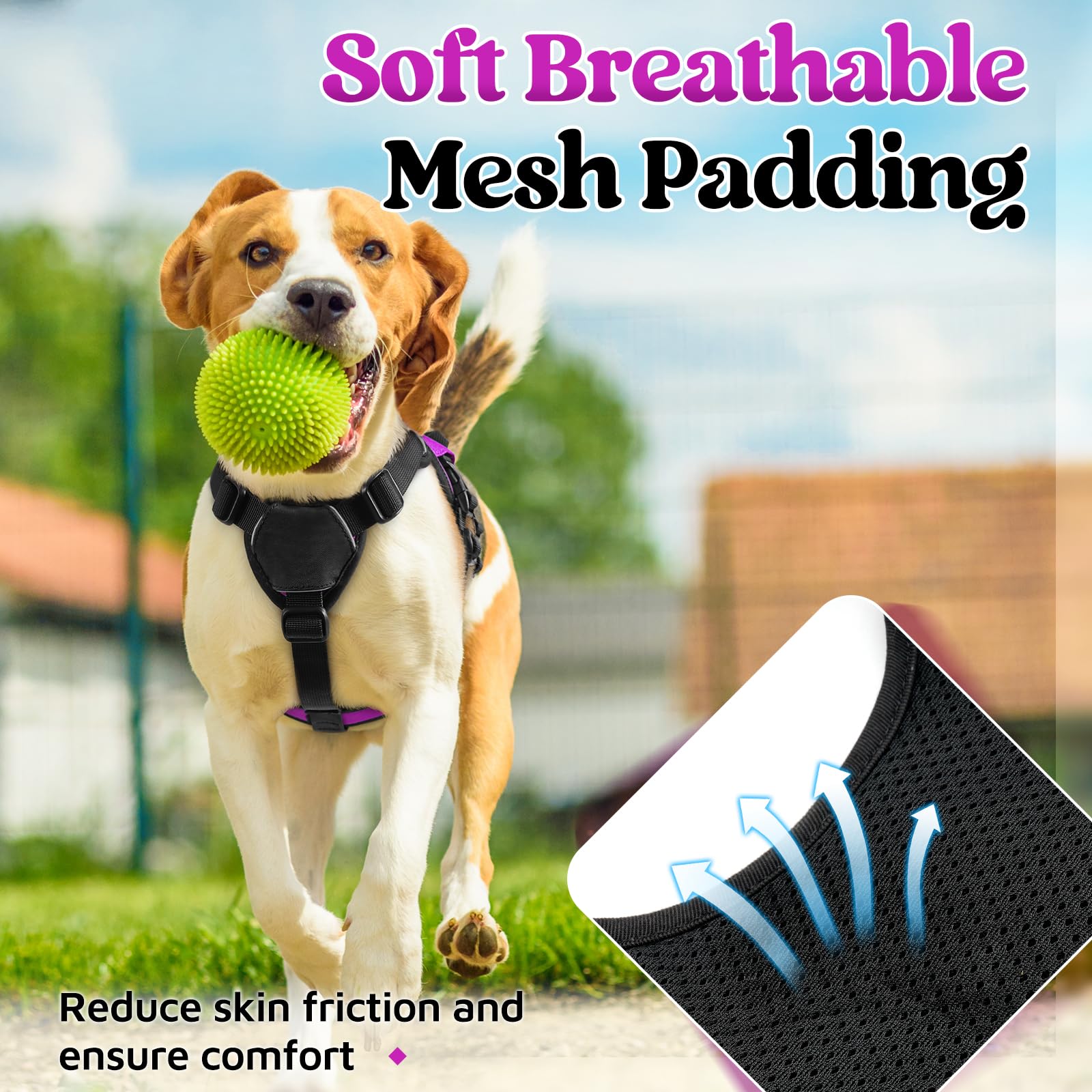 Acolchado rabbitgoo protege la piel y reduce fricción