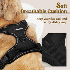 Arnés rabbitgoo ajustable con cuatro cintas para un ajuste perfecto.