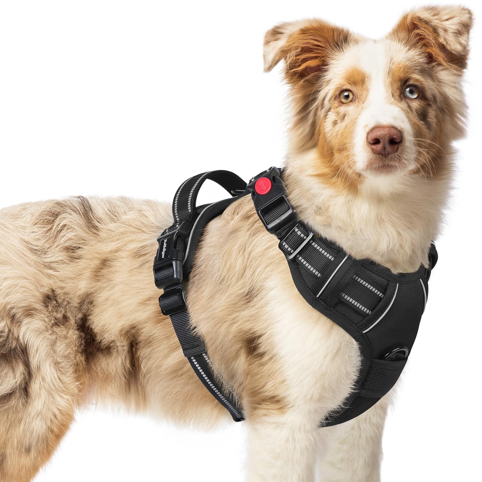 Arnés Rabbitgoo para perro con 4 correas ajustables para un ajuste seguro.