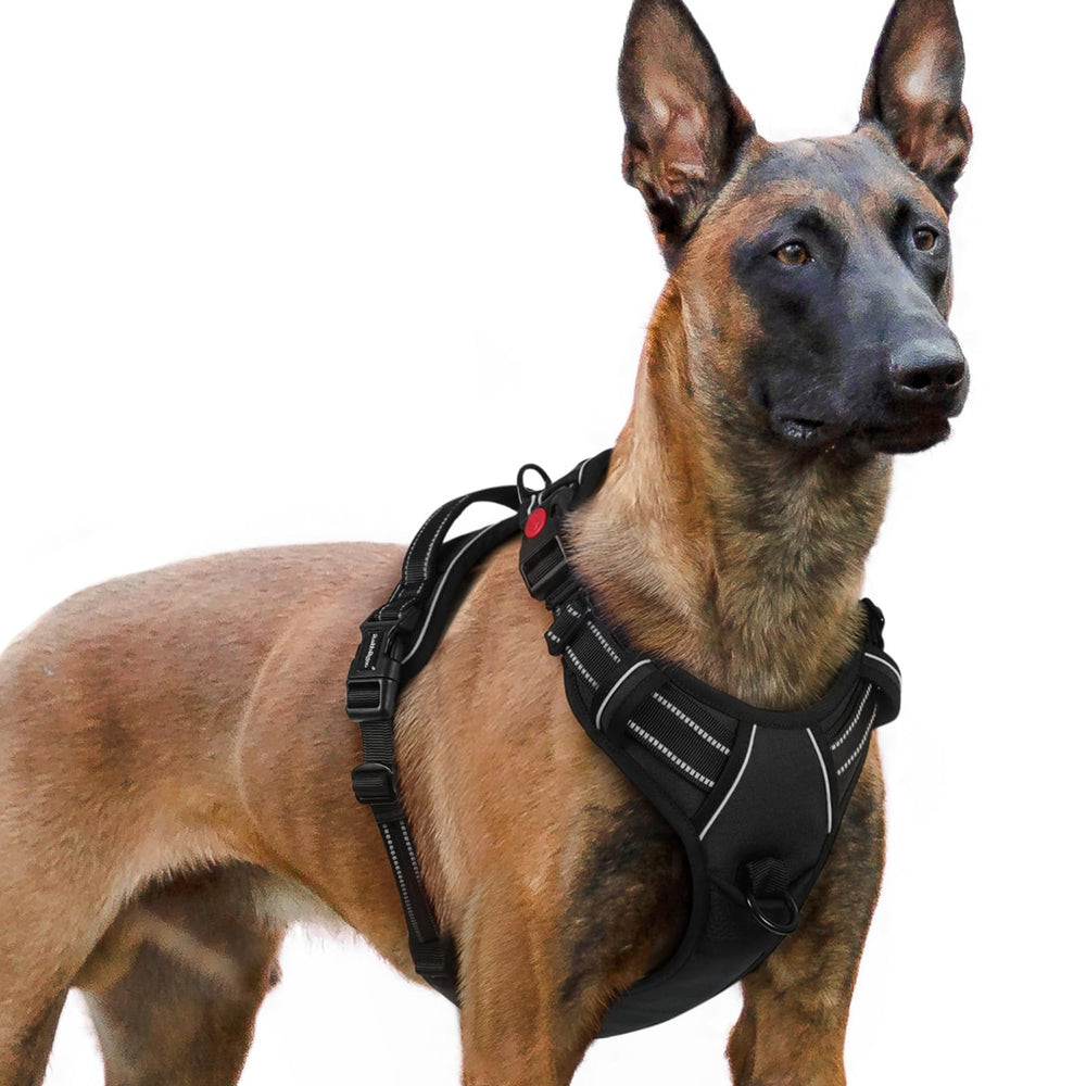 Arnés Rabbitgoo para perros con ajuste de 4 correas, cómodo y flexible.