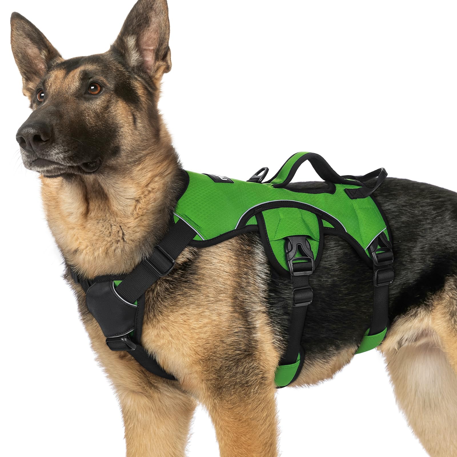 Arnés rabbitgoo anti escape verde para perros grandes, ideal para paseos seguros.