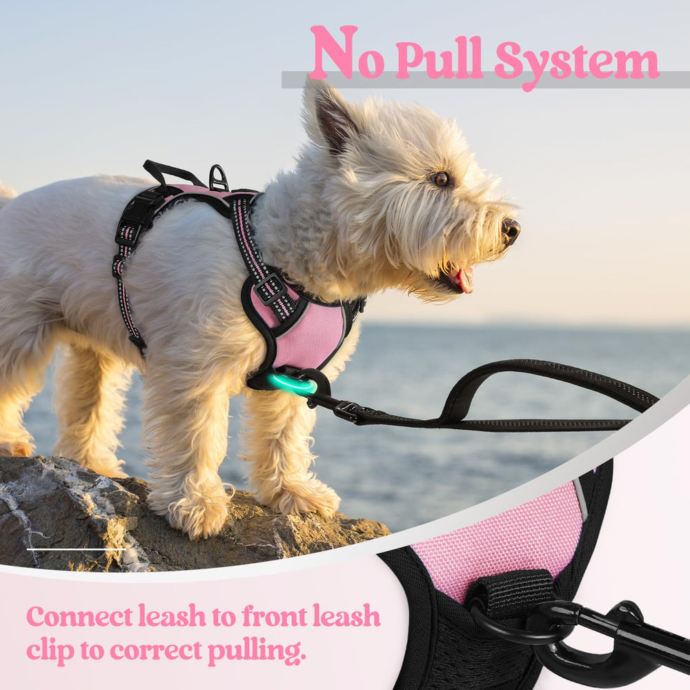 Rabbitgoo asa de control superior rosa, vista frontal para manejo cercano