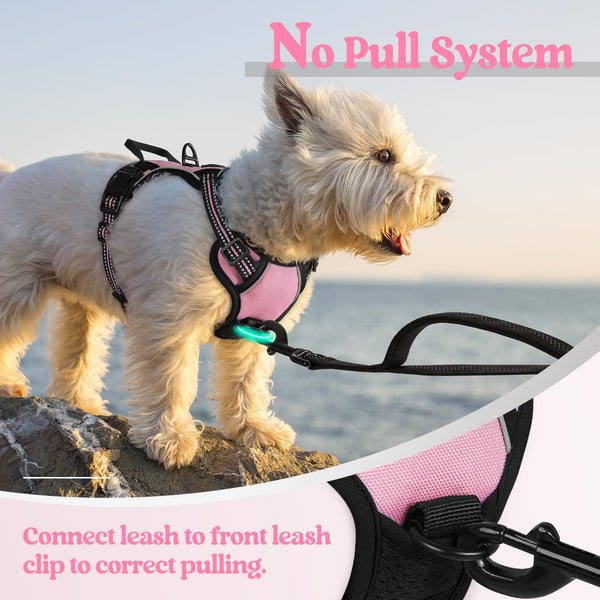 Rabbitgoo asa de control superior rosa, vista frontal para manejo cercano