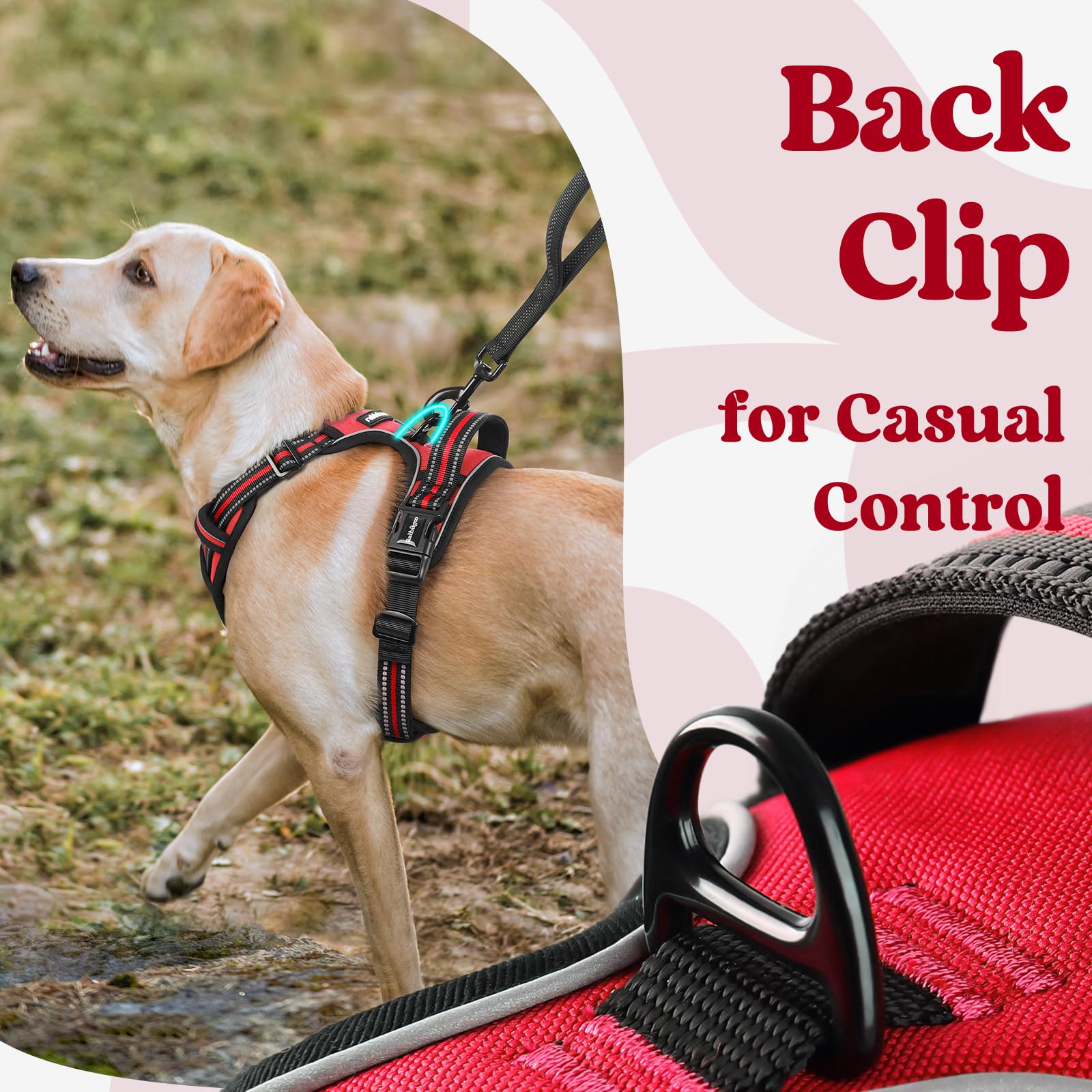 Arnés Rabbitgoo con asa de control superior para manejo seguro