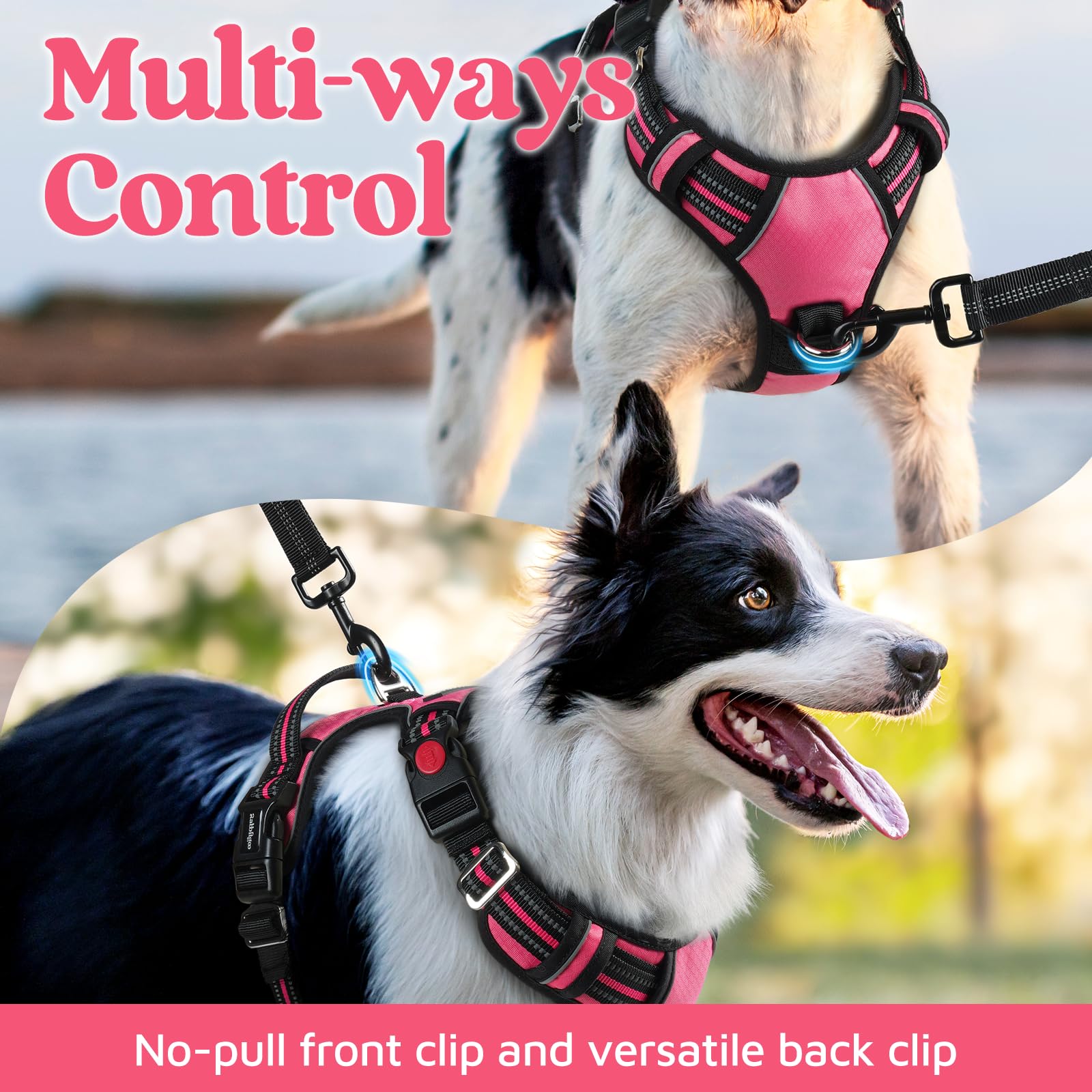 Arnés Rabbitgoo con asa de control superior para un manejo cómodo durante paseos.