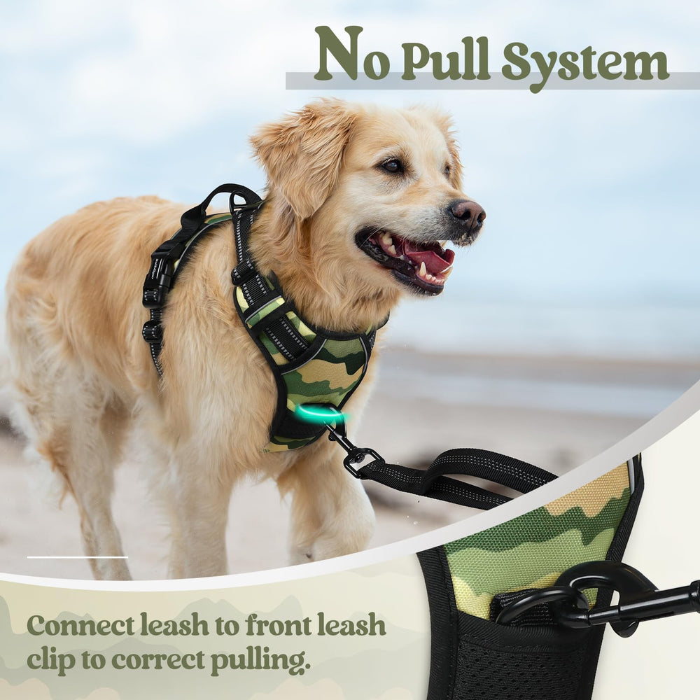 Asa de control Rabbitgoo para manejo seguro durante paseos.