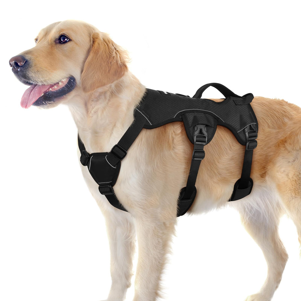 Rabbitgoo arnés perro con mango ergonómico para mayor control durante caminatas