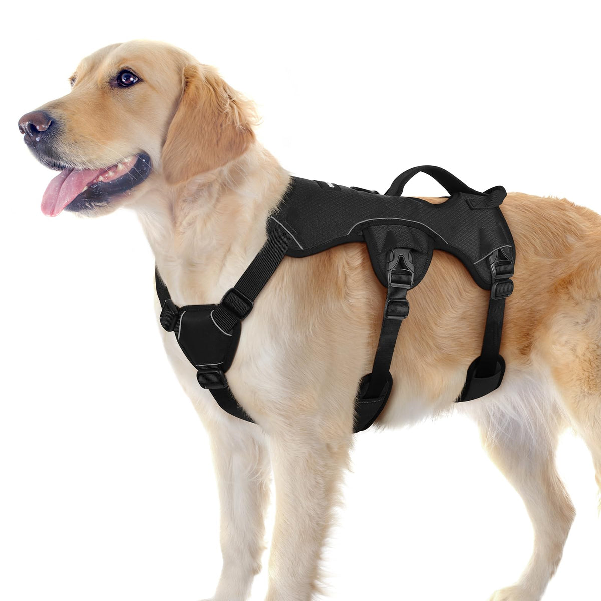 Rabbitgoo arnés perro con mango ergonómico para mayor control durante caminatas