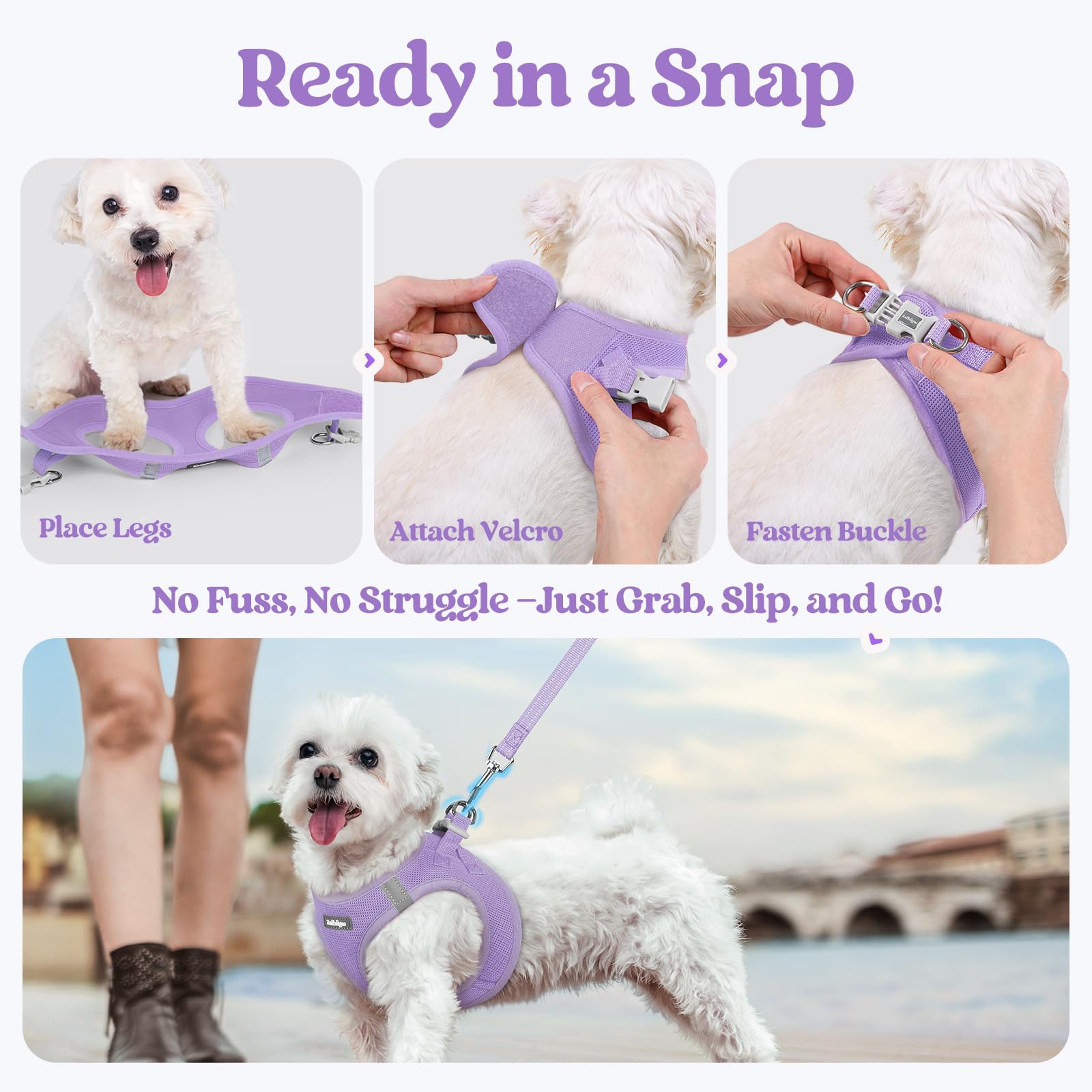 Diseño ergonómico de Rabbitgoo distribuye la tensión, ideal cuando el perro tira.