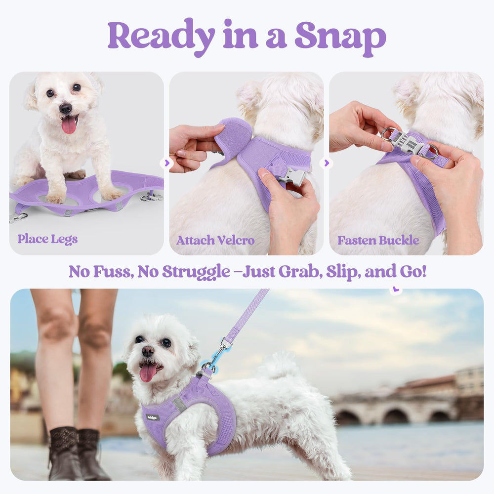 Diseño ergonómico de Rabbitgoo distribuye la tensión, ideal cuando el perro tira.