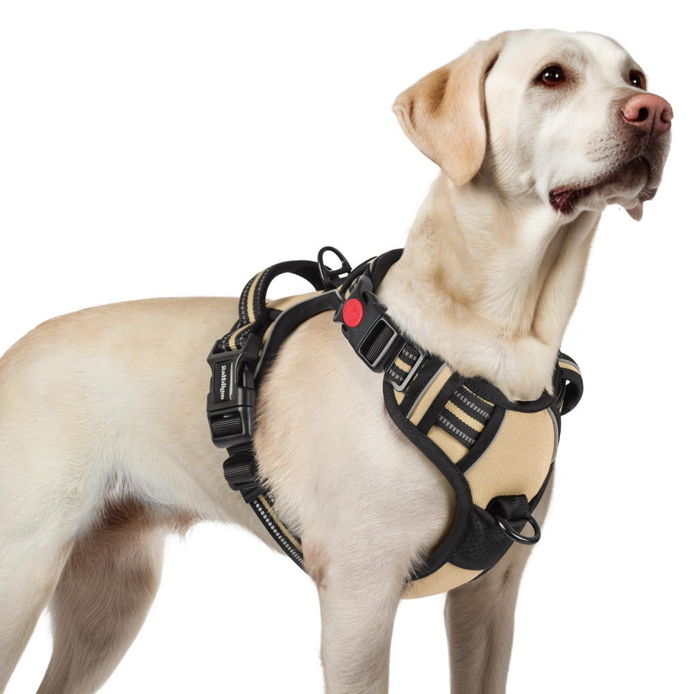 Arnés rabbitgoo para perro grande con 3 hebillas para ajuste rápido y seguro.