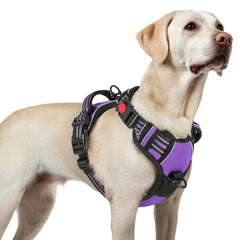 Arnés Rabbitgoo para perro grande con ajuste de cuatro correas para mayor comodidad