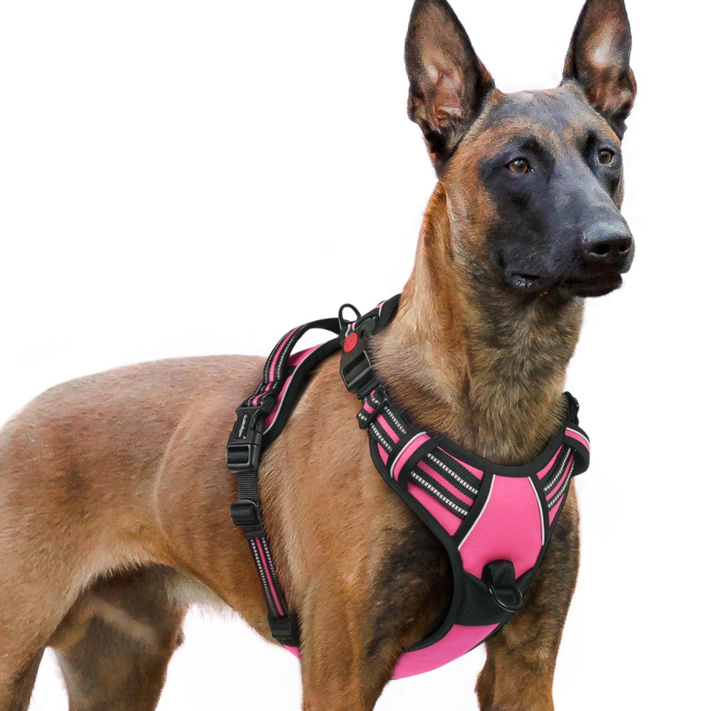 Arnés rabbitgoo para perros grandes con ajustes de cuatro correas para un ajuste cómodo