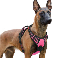 Arnés rabbitgoo para perros grandes con ajustes de cuatro correas para un ajuste cómodo