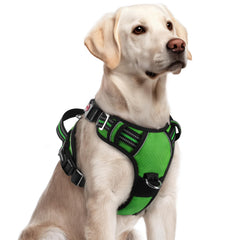 rabbitgoo arnés para perros grandes con asa de control para paseos suaves