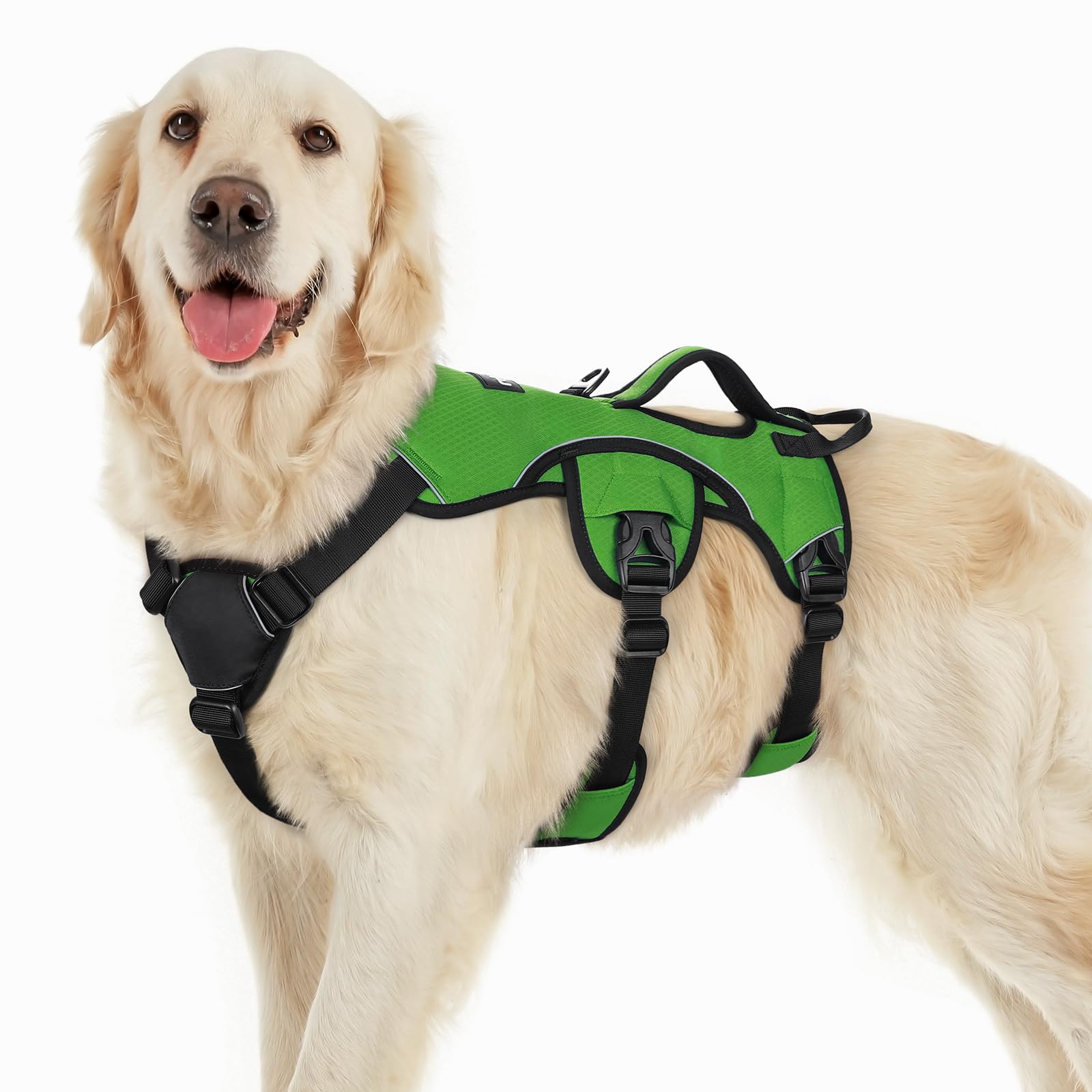 Arnés rabbitgoo con asa elevadora para perros grandes: asistencia y control