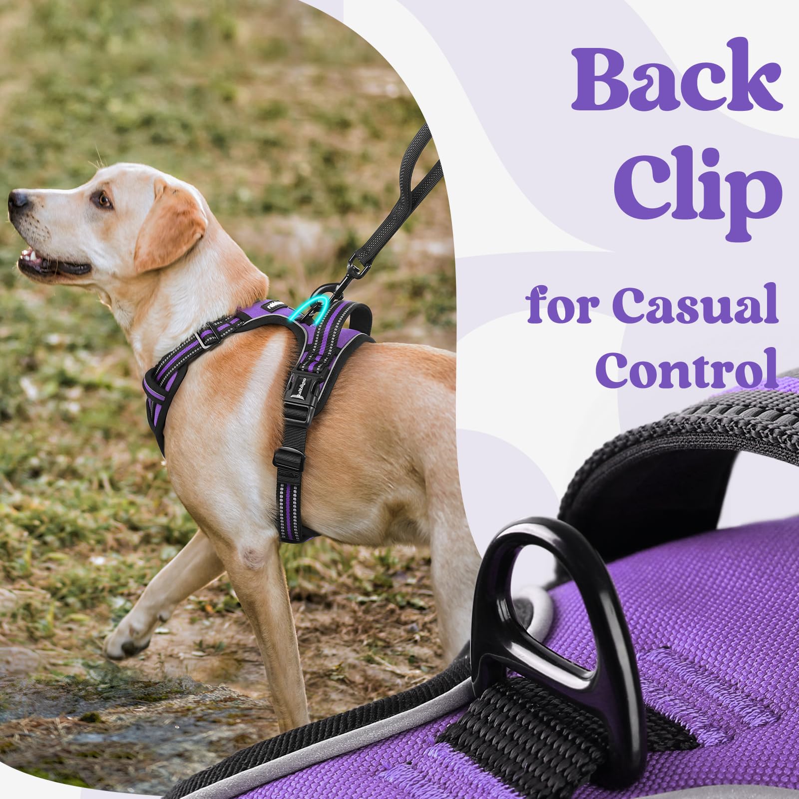 Asa superior ergonómica del arnés Rabbitgoo para control durante el paseo
