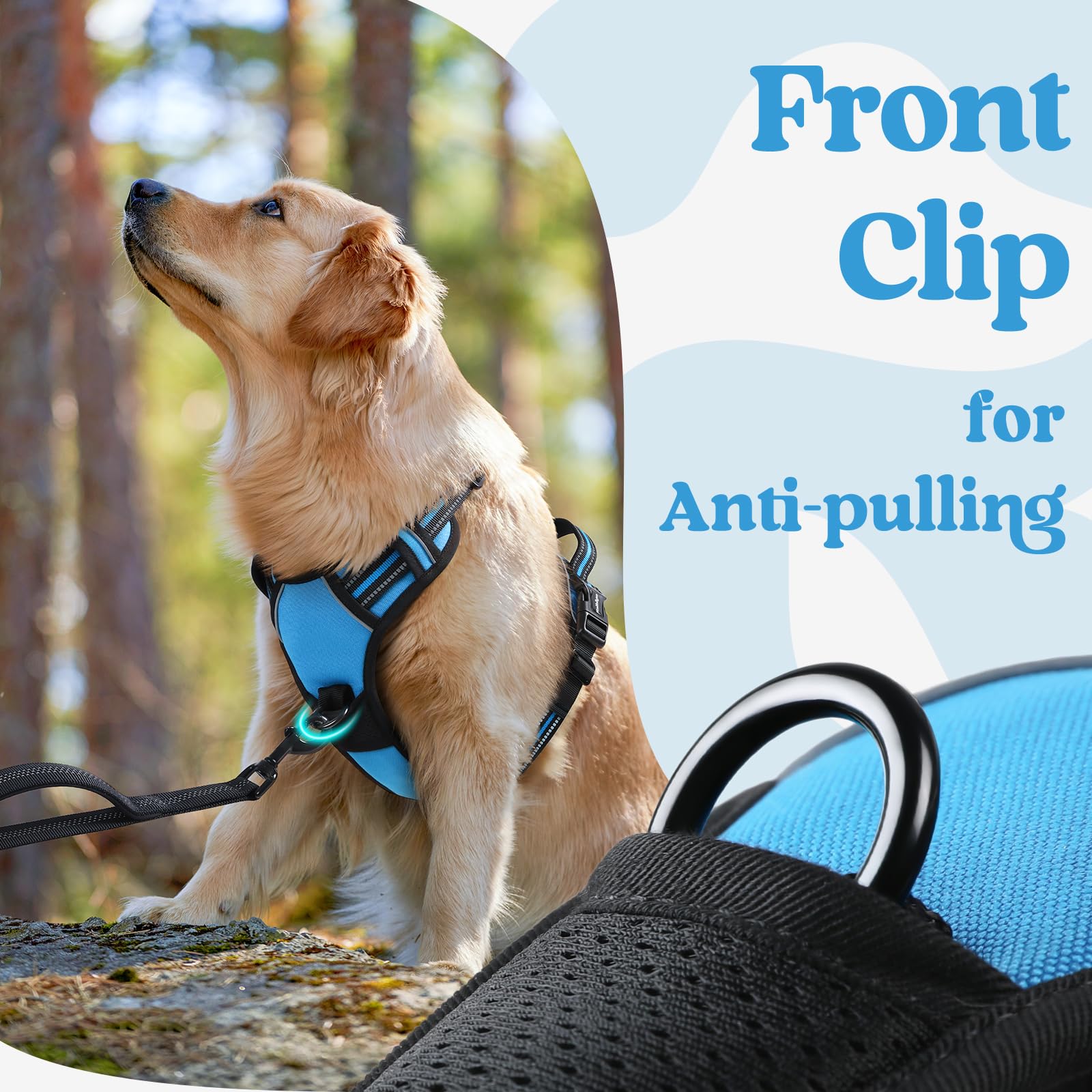 Arnés rabbitgoo cierre en cuello seguro para evitar liberaciones