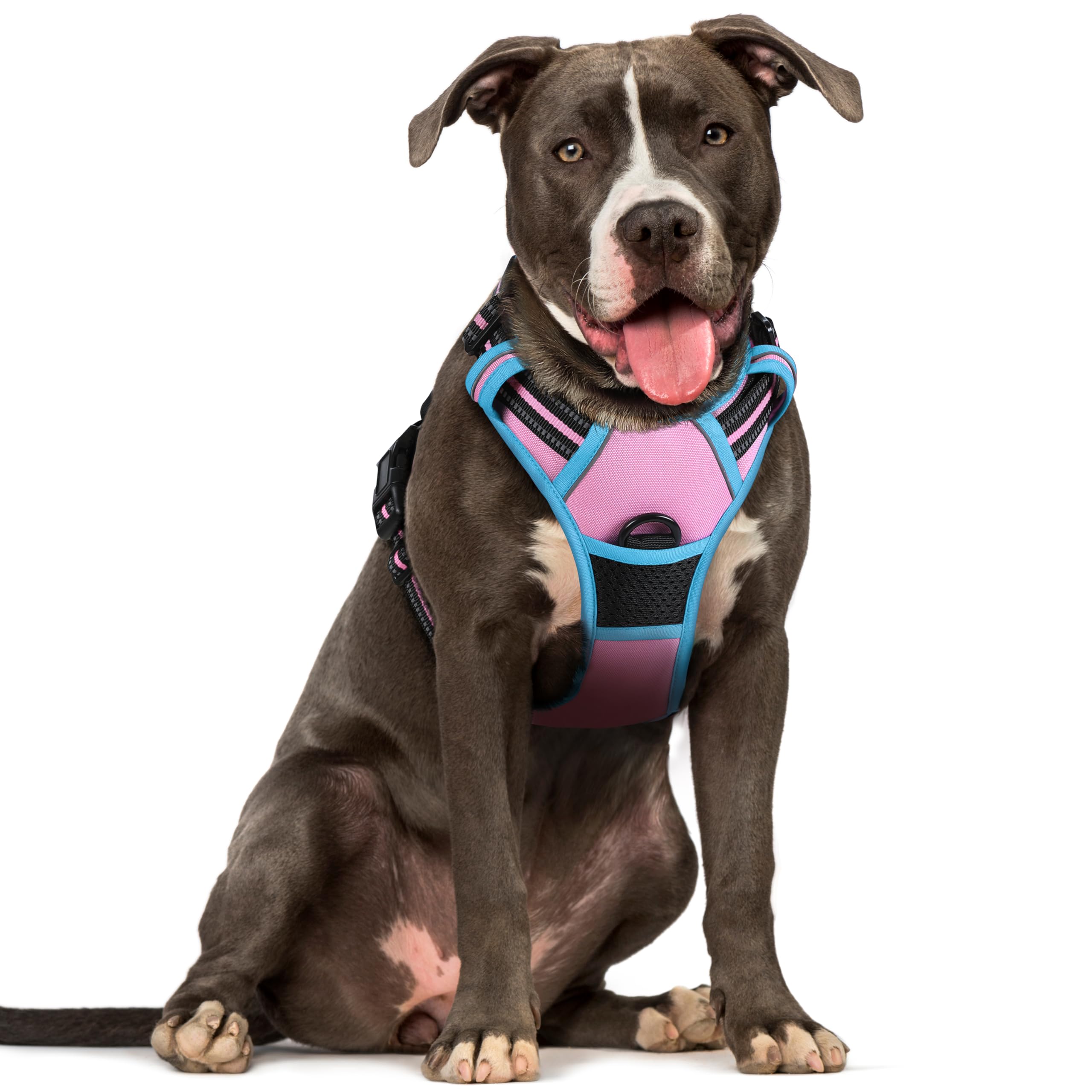 Arnés Rabbitgoo para perros grandes con dos anillos, ideal para entrenamiento
