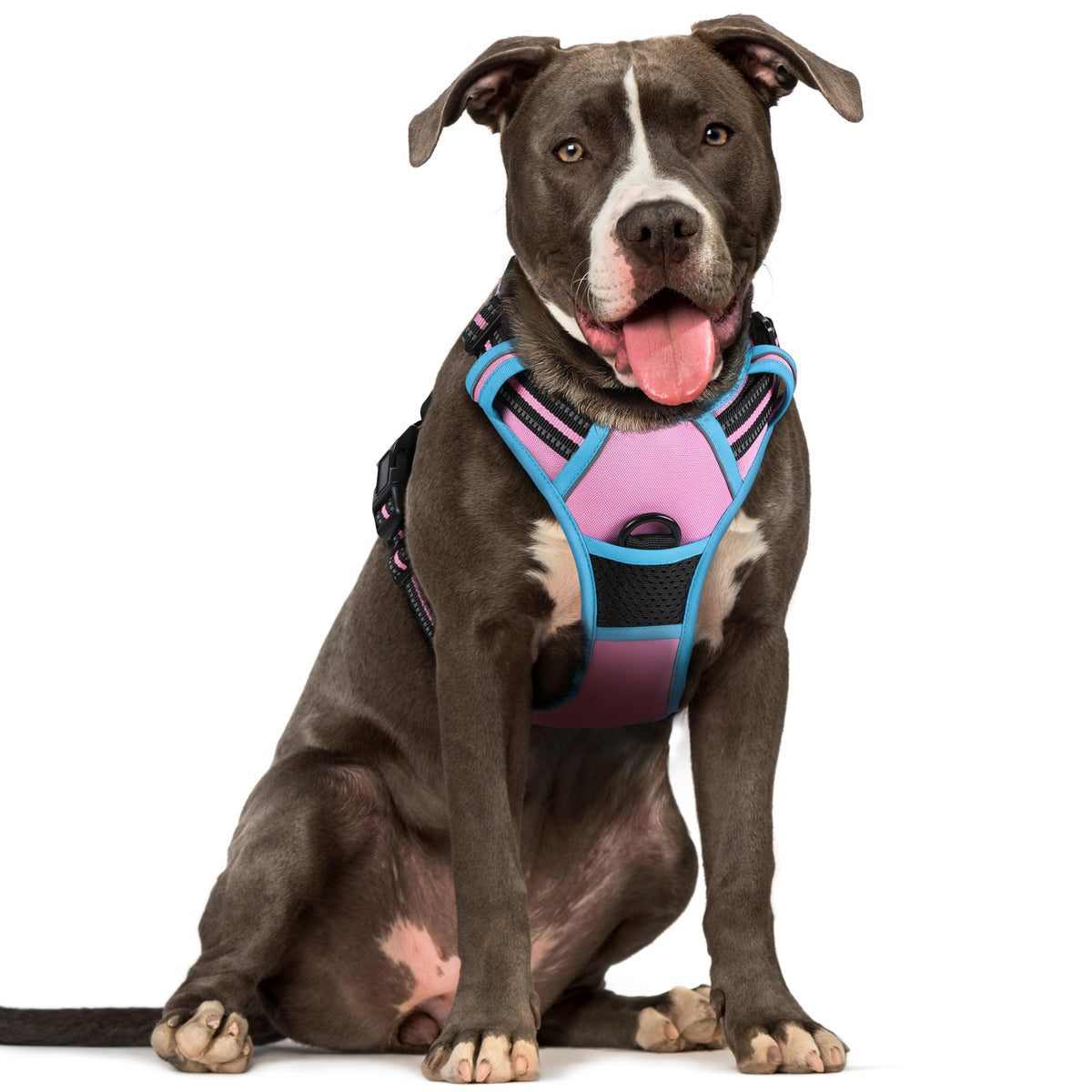 Arnés Rabbitgoo para perros grandes con dos anillos, ideal para entrenamiento