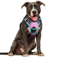Arnés Rabbitgoo para perros grandes con dos anillos, ideal para entrenamiento