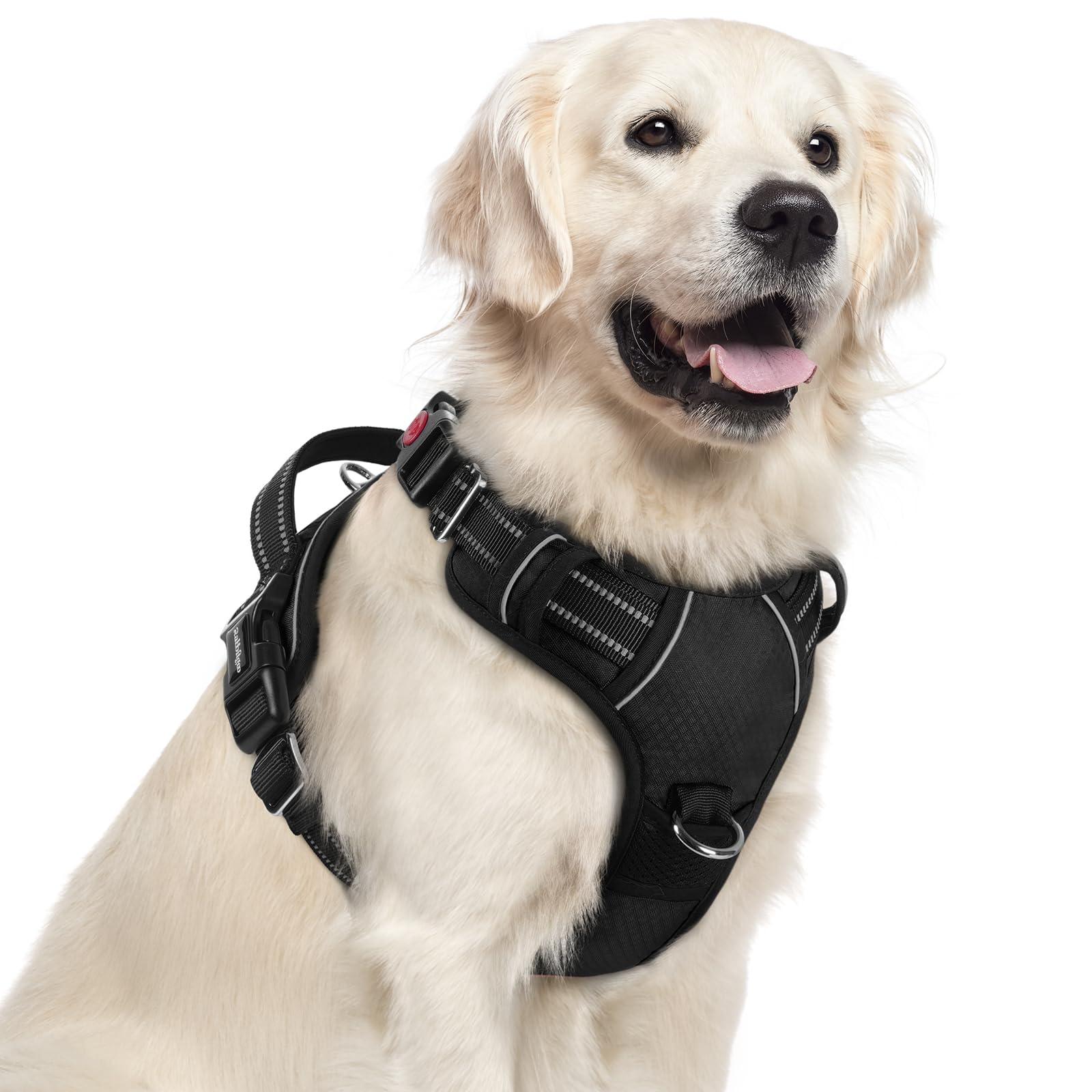 Arnés Rabbitgoo para perros grandes, vista frontal, control suave durante paseos.