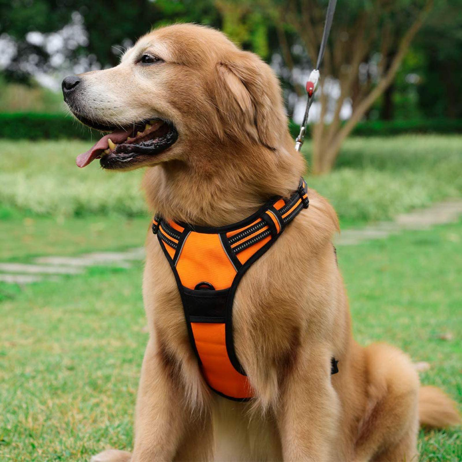 Rabbitgoo arnés naranja para perros grandes en exteriores.