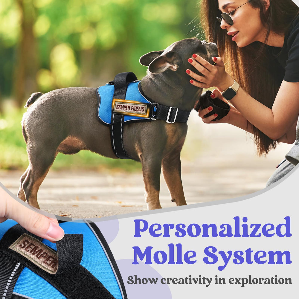 Rabbitgoo arnés perro grande - paneles personalizables para toque único