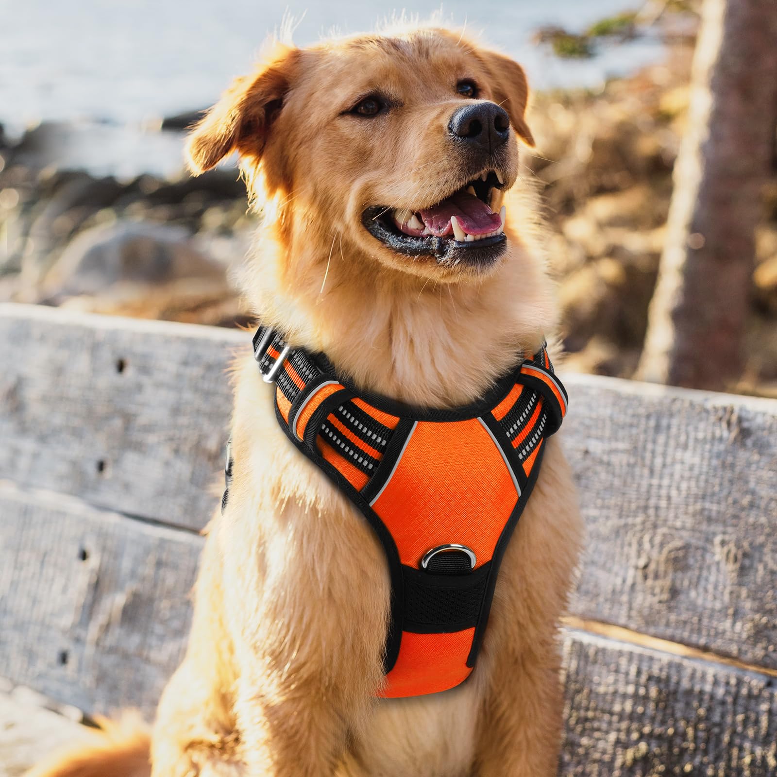 Arnés rabbitgoo naranja XL, diseño duradero y cómodo.