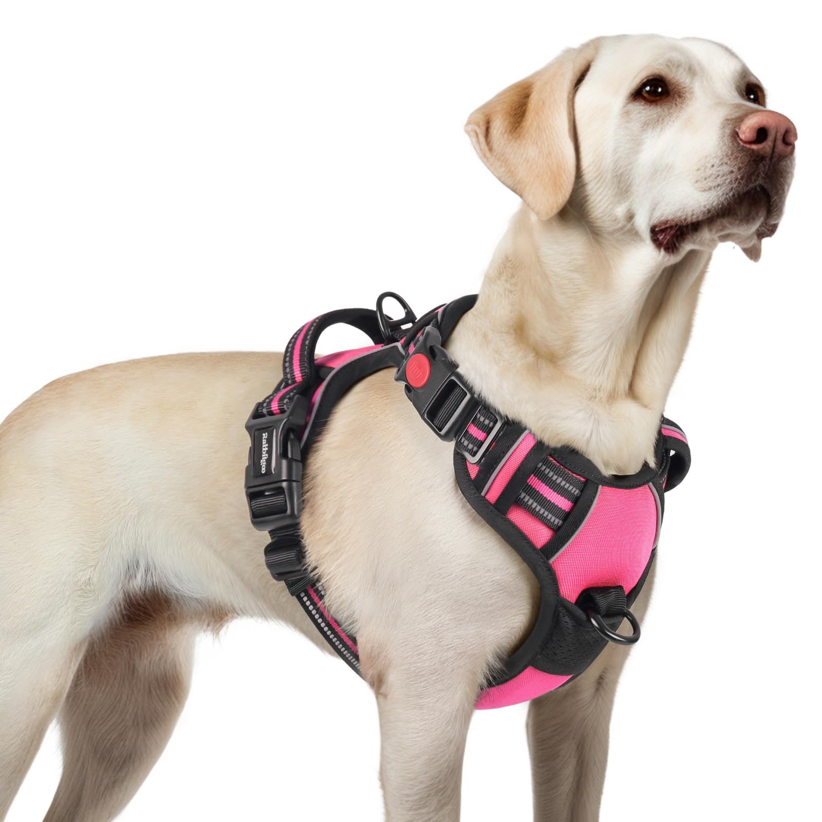 Arnés rabbitgoo para perro grande rosa con 3 hebillas para ajuste fácil