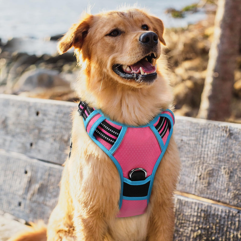 Arnés Rabbitgoo rosa azul XL, estilo y comodidad para perros grandes