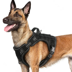Arnés Rabbitgoo para perros grandes con enfoque frontal para evitar tirones.